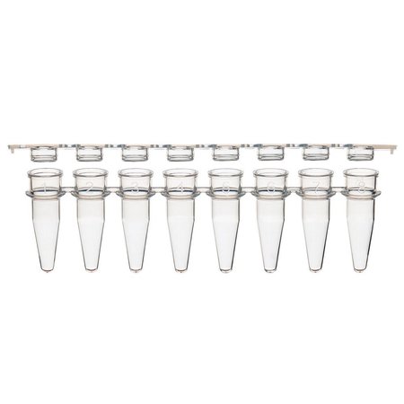 Globe Scientific PCR 8-strip tubes, 0.2mL, PP, natural PK PCR-STR-02F